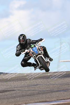 media/Feb-19-2024-Lets Ride (Mon) [[eb90a18fbf]]/Group C/1230pm (Grapevine)/